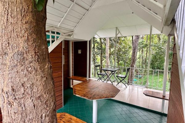 WhatsApp Image 2025-08-24 at 1.26.49 PM