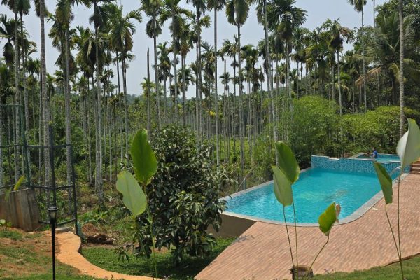 WhatsApp Image 2025-08-24 at 1.26.50 PM