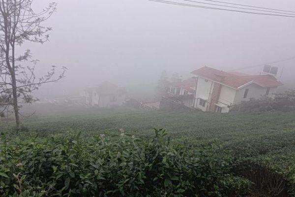 WhatsApp Image 2025-08-24 at 1.34.40 PM